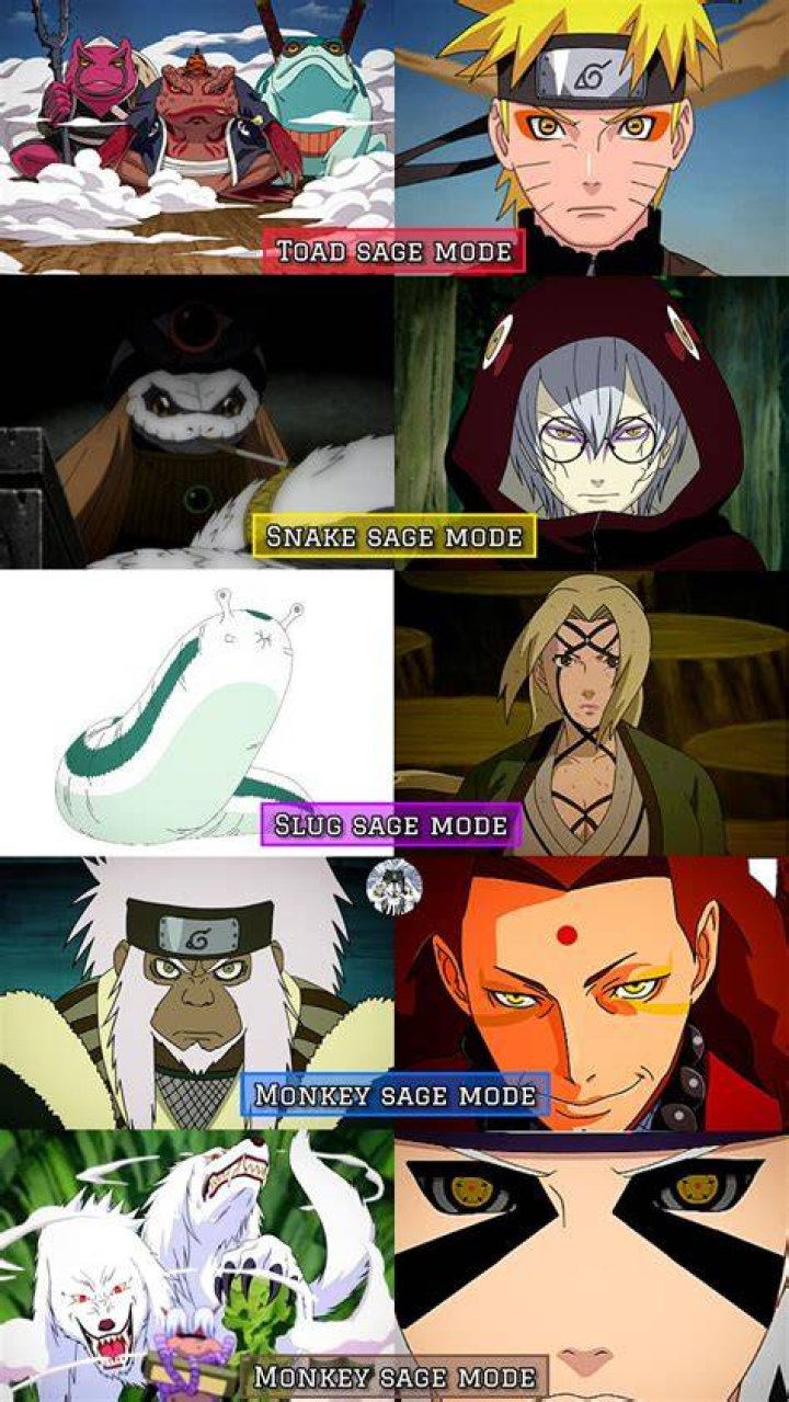 Are there other Sage modes?