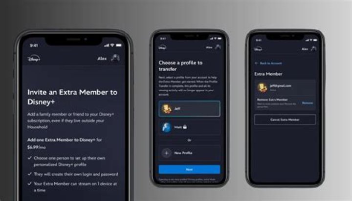 Can I share my Disney Plus account with someone in another country?