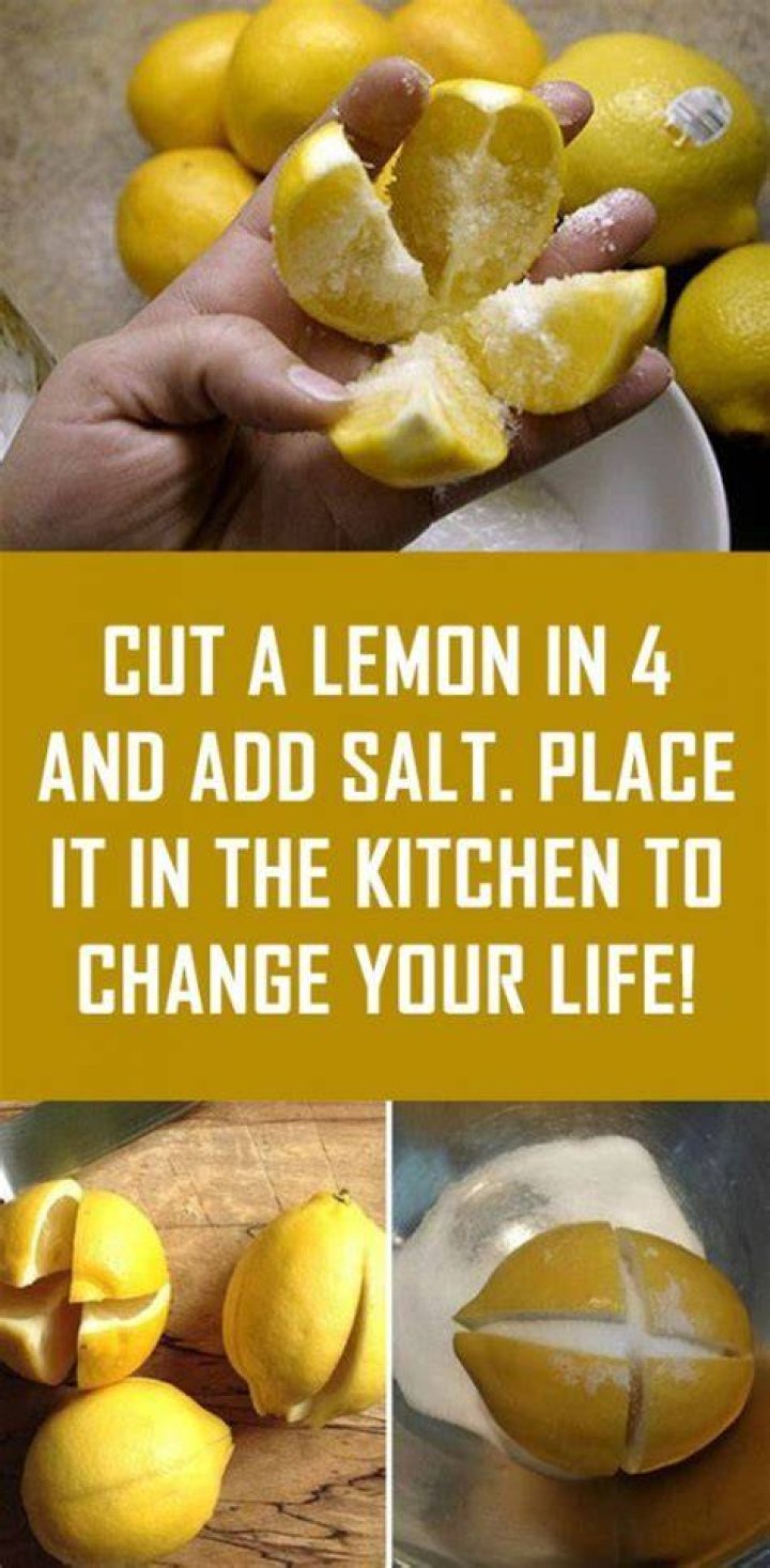 Do lemons absorb bacteria?