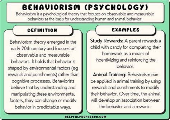 How do you explain behaviorism?