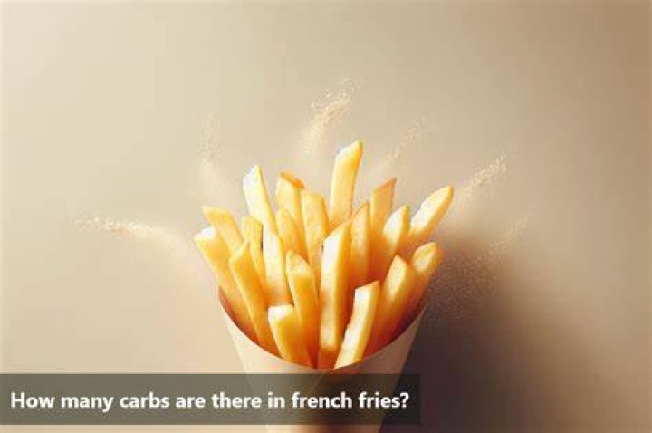 How many net carbs are in French fries?