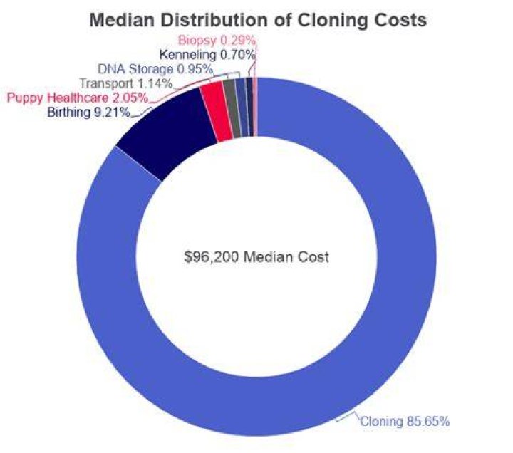 How much would it cost to clone a dog?