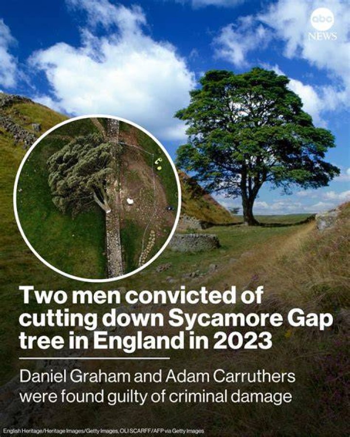 Is cutting down a tree criminal damage?