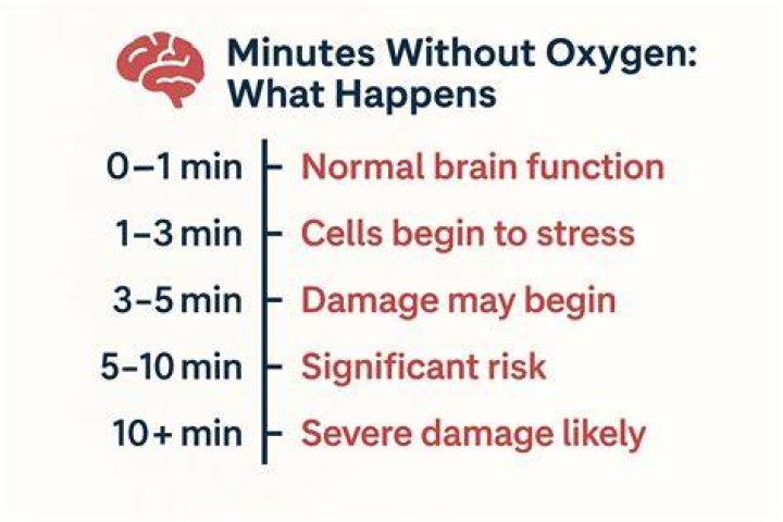 What happens to the brain after 20 minutes without oxygen?