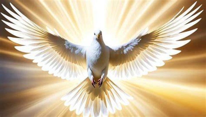 What is the spirit of holiness?