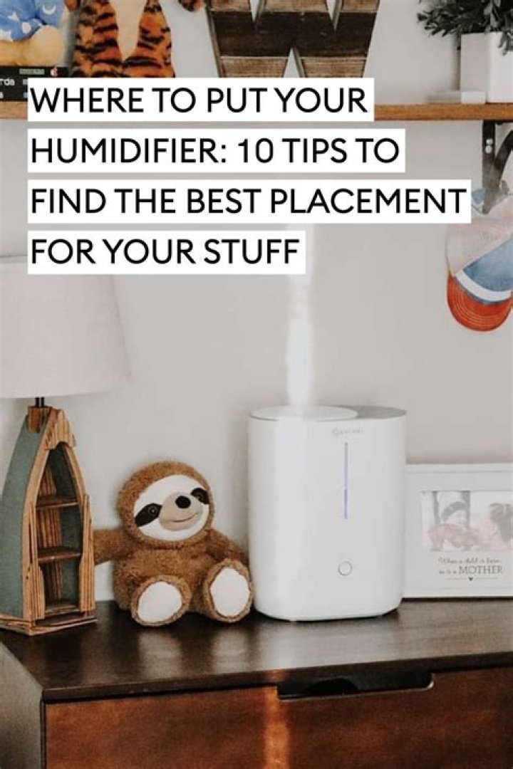 Where is the best place to put a humidifier?