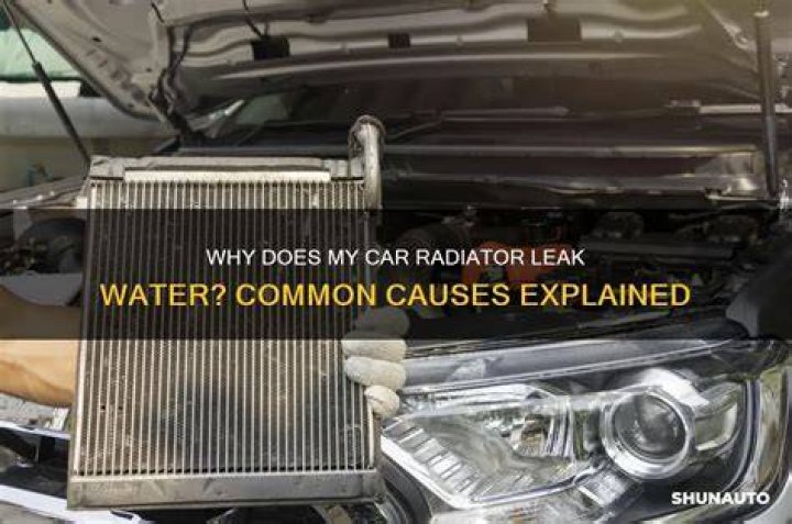 Why does my radiator whistle?
